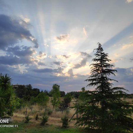 Hotel Llano Tineo Villanueva De La Vera Εξωτερικό φωτογραφία
